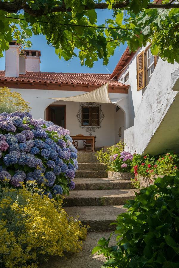 Quinta Do Acipreste Ламегу Екстер'єр фото