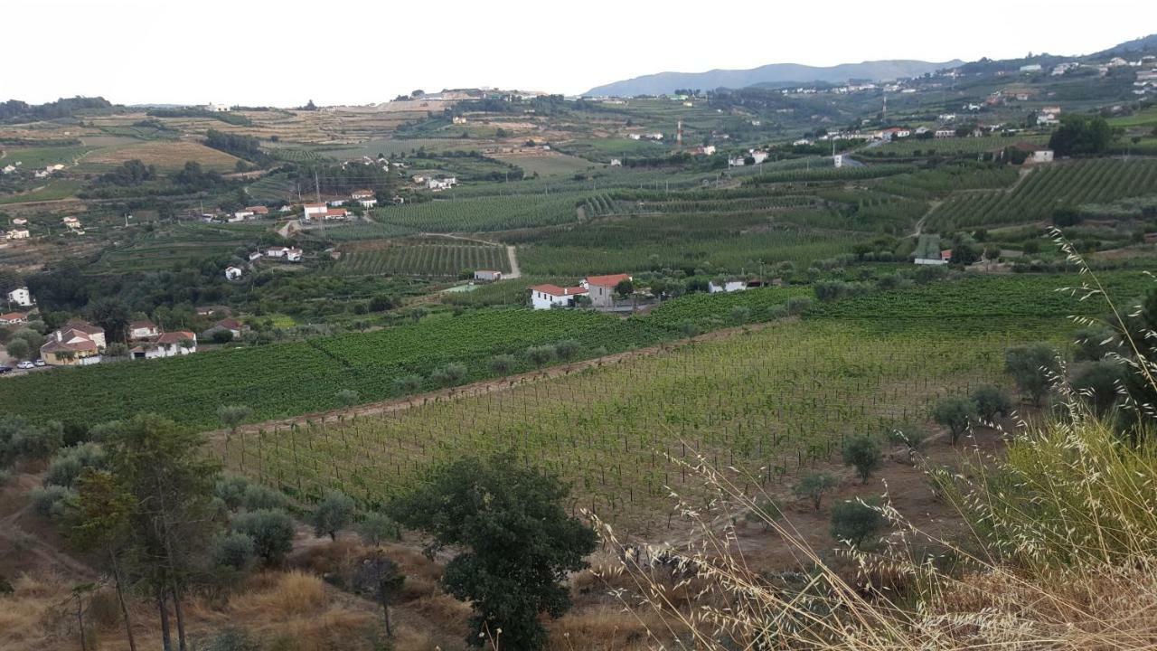 Quinta Do Acipreste Ламегу Екстер'єр фото